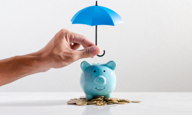 What minimum benefit safety net do income protection insurers offer?