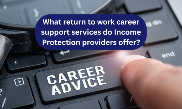 What return to work career support services do Income Protection Providers offer?