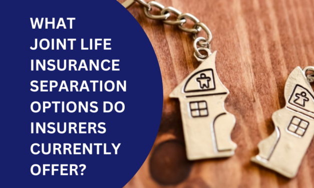 What joint life insurance separation options do insurers currently offer?